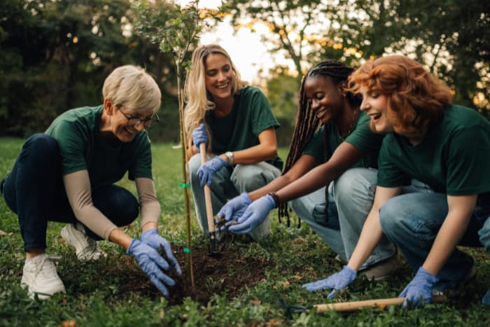 Four volunteers wearing green t shirts are planting a young tree in a park, working together to protect the environment