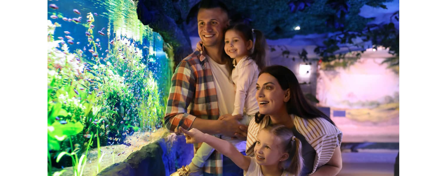 family in a museum enjoying time together and excited about their cash back savings